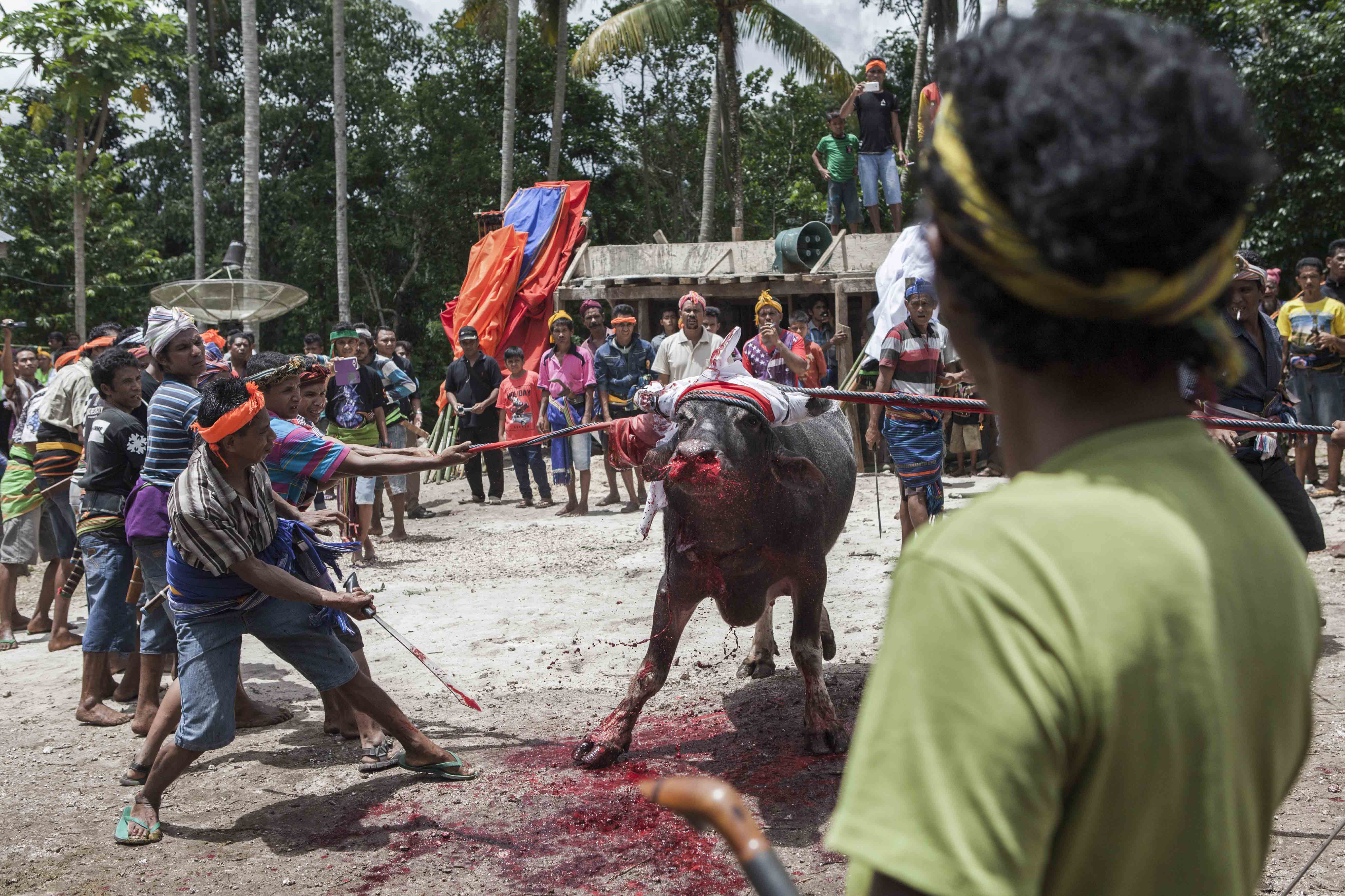 Sumba, Indonesia